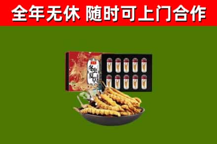 果洛州回收冬虫夏草价格