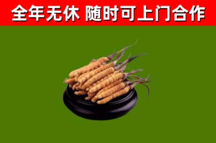果洛州烟酒回收冬虫夏草.jpg