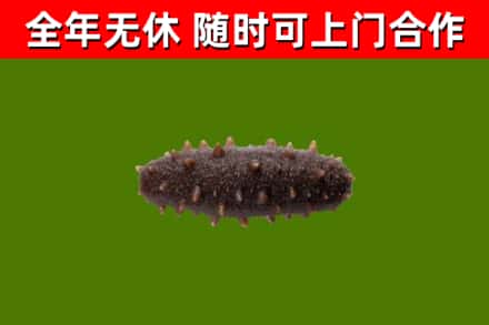 果洛州烟酒回收干海参.jpg